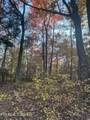 27.42 AC Black Mountain Road Rd - Photo 12