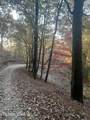 27.42 AC Black Mountain Road Rd - Photo 2