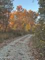 27.42 AC Black Mountain Road Rd - Photo 4