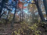 27.42 AC Black Mountain Road Rd - Photo 9