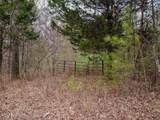 1397 County Road 609 - Photo 5