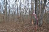 6.49ac Garrett Town Lane - Photo 8