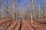  72 Acres Cole Place Rd - Photo 2