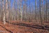  72 Acres Cole Place Rd - Photo 8