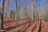  72 Acres Cole Place Rd - Photo 9