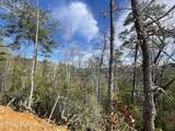 Lot 36 Bullet Mountain Drive - Photo 11