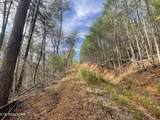 Lot 36 Bullet Mountain Drive - Photo 12