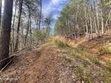 Lot 36 Bullet Mountain Drive - Photo 13