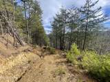 Lot 36 Bullet Mountain Drive - Photo 14