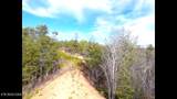 Lot 36 Bullet Mountain Drive - Photo 17