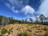 Lot 36 Bullet Mountain Drive - Photo 5