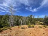 Lot 36 Bullet Mountain Drive - Photo 6