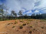 Lot 36 Bullet Mountain Drive - Photo 9