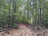  Sheep Ranch Rd. - Photo 11