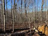 0 Deerhead Rd - Photo 11