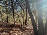 0 Deerhead Rd - Photo 6