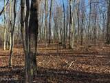 0 Deerhead Rd - Photo 9