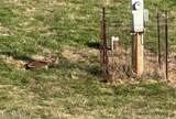 933 Frog Level Rd - Photo 3