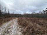 5441 White Oak Rd - Photo 5