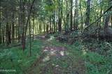 Tract 17 Pleasant View Cemetary Rd - Photo 11