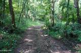 Tract 17 Pleasant View Cemetary Rd - Photo 12