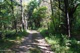 Tract 17 Pleasant View Cemetary Rd - Photo 15