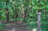 Tract 17 Pleasant View Cemetary Rd - Photo 18