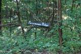 Tract 17 Pleasant View Cemetary Rd - Photo 19