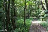 Tract 17 Pleasant View Cemetary Rd - Photo 21