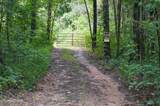 Tract 17 Pleasant View Cemetary Rd - Photo 38