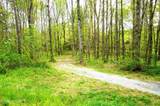 Tract 17 Pleasant View Cemetery Rd - Photo 42