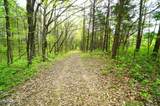 Tract 17 Pleasant View Cemetery Rd - Photo 45