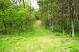 Tract 17 Pleasant View Cemetery Rd - Photo 46