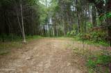 Tract 17 Pleasant View Cemetery Rd - Photo 48