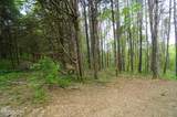 Tract 17 Pleasant View Cemetery Rd - Photo 50