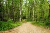 Tract 17 Pleasant View Cemetery Rd - Photo 52