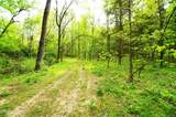 Tract 17 Pleasant View Cemetery Rd - Photo 54