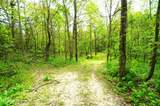 Tract 17 Pleasant View Cemetery Rd - Photo 58