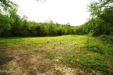 Tract 17 Pleasant View Cemetery Rd - Photo 60