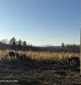  Possum Trot Rd. - Tract 11 - Photo 2