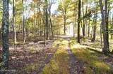 Tract 19 Pleasant View Cemetery Rd - Photo 10