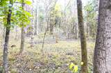 Tract 19 Pleasant View Cemetery Rd - Photo 17