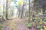 Tract 19 Pleasant View Cemetery Rd - Photo 23