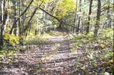 Tract 19 Pleasant View Cemetery Rd - Photo 27