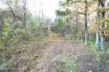 Tract 19 Pleasant View Cemetery Rd - Photo 29