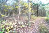 Tract 19 Pleasant View Cemetery Rd - Photo 32