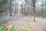 Tract 19 Pleasant View Cemetery Rd - Photo 33
