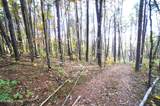 Tract 19 Pleasant View Cemetery Rd - Photo 35