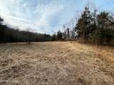 Tract 19 Pleasant View Cemetery Rd - Photo 6