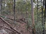 0 Panther Falls Rd - Photo 10